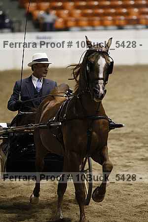 Proof 10buck_5428