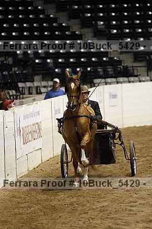 Proof 10buck_5429