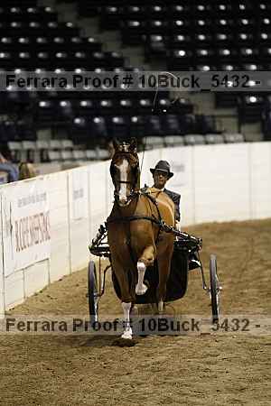 Proof 10buck_5432