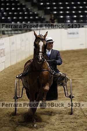 Proof 10buck_5433