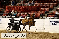 10buck_5436 proof