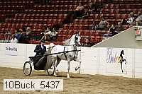 10buck_5437 proof