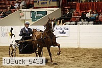 10buck_5438 proof