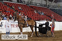 10buck_5439 proof