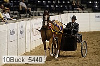10buck_5440 proof