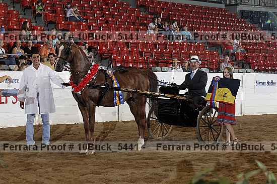 Proof 10buck_5441