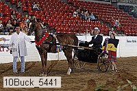 10buck_5441 proof