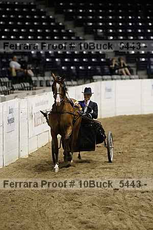Proof 10buck_5443