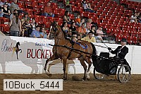 10buck_5444 proof