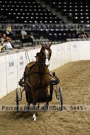 Proof 10buck_5445