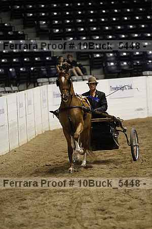 Proof 10buck_5448