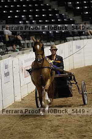 Proof 10buck_5449