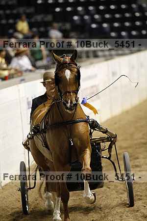 Proof 10buck_5451