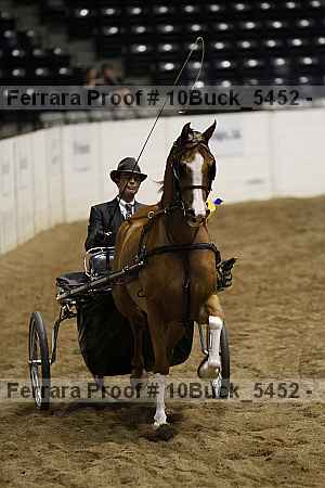 Proof 10buck_5452