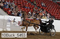 10buck_5453 proof