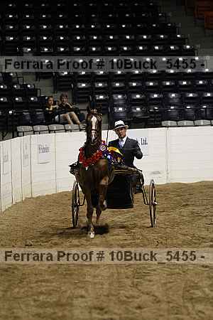 Proof 10buck_5455