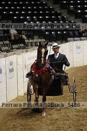 Proof 10buck_5456
