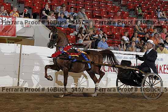 Proof 10buck_5457