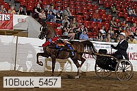 10buck_5457 proof