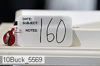 10buck_5569 proof