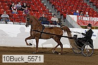 10buck_5571 proof