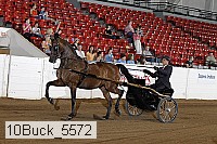 10buck_5572 proof