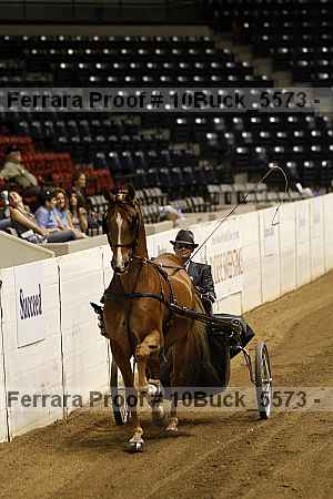Proof 10buck_5573