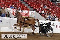 10buck_5574 proof