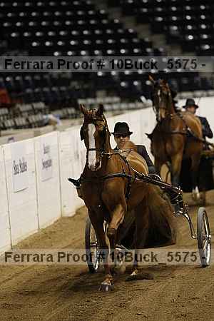 Proof 10buck_5575
