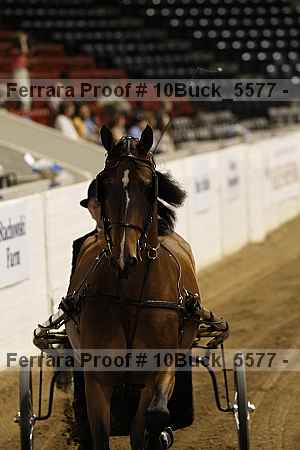 Proof 10buck_5577