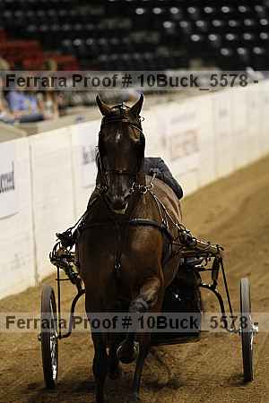 Proof 10buck_5578