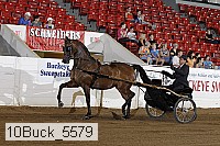 10buck_5579 proof