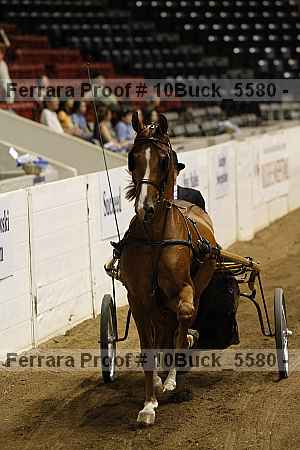 Proof 10buck_5580