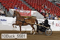 10buck_5581 proof