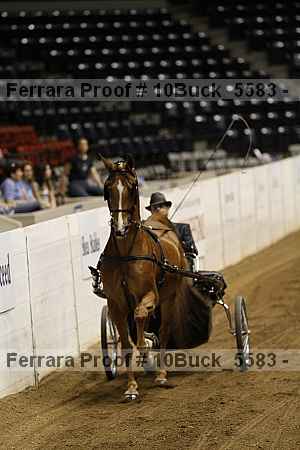 Proof 10buck_5583