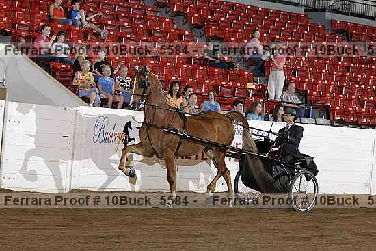 Proof 10buck_5584