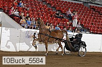10buck_5584 proof