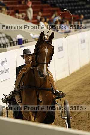 Proof 10buck_5585