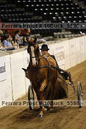 Proof 10buck_5586