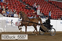 10buck_5587 proof