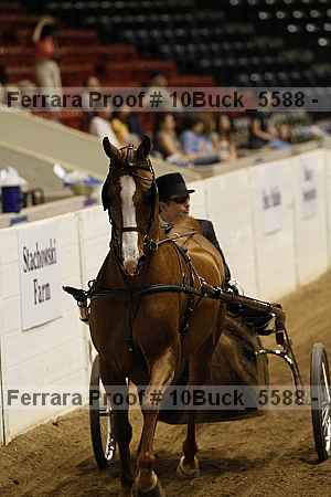 Proof 10buck_5588