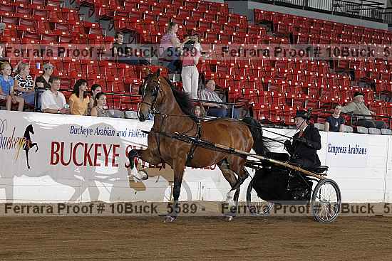 Proof 10buck_5589