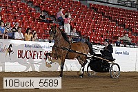 10buck_5589 proof
