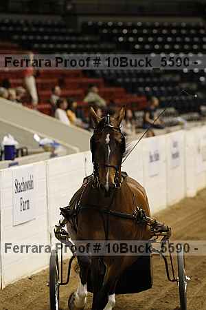 Proof 10buck_5590
