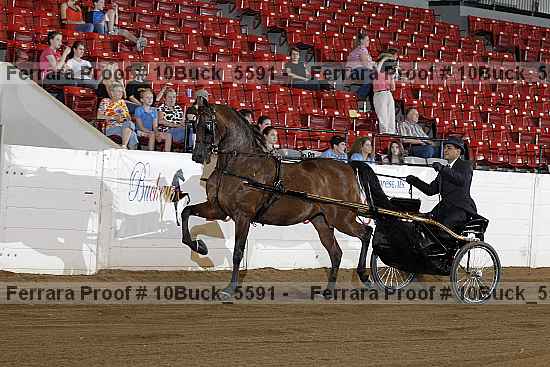 Proof 10buck_5591