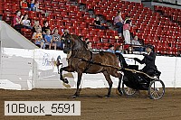 10buck_5591 proof