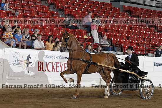 Proof 10buck_5592