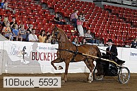 10buck_5592 proof