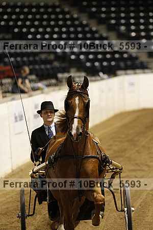 Proof 10buck_5593