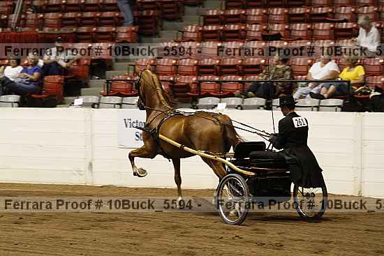 Proof 10buck_5594